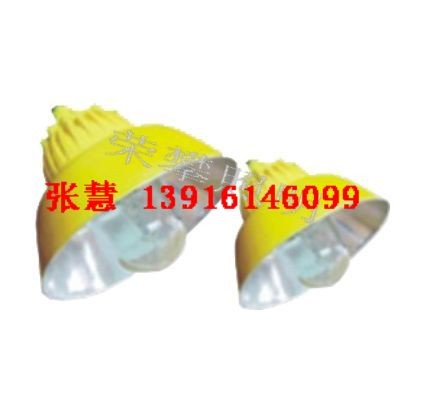 供应BLC8610 防爆道路灯